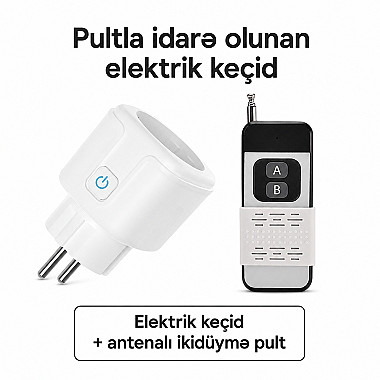 plug433