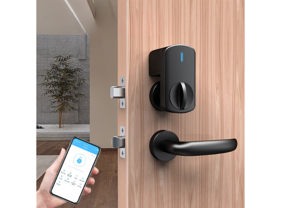 Locstar LS-C93 Tuya Smart Qapı Kilidi